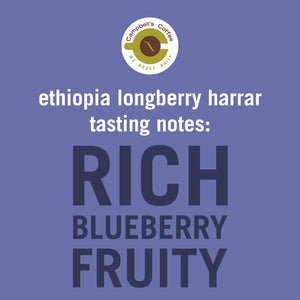 Ethiopia Longberry Harrar City +