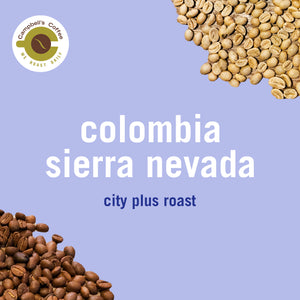 Colombia Sierra Nevada FTO City+